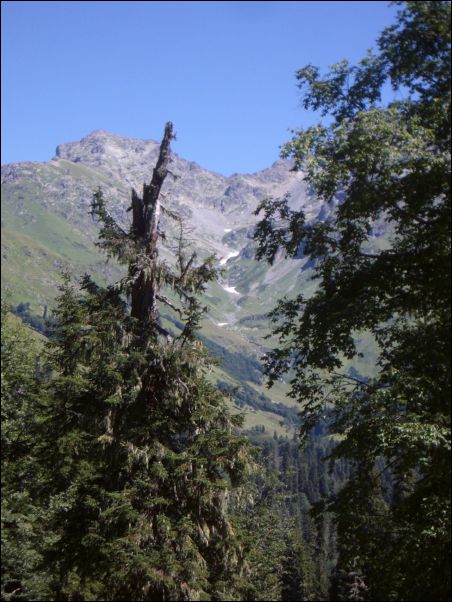 IMGP1438