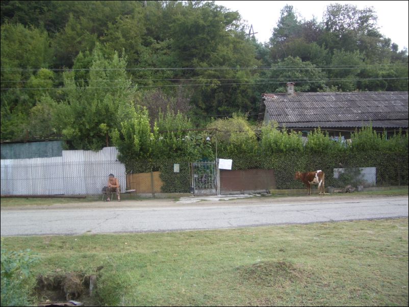 IMGP1504