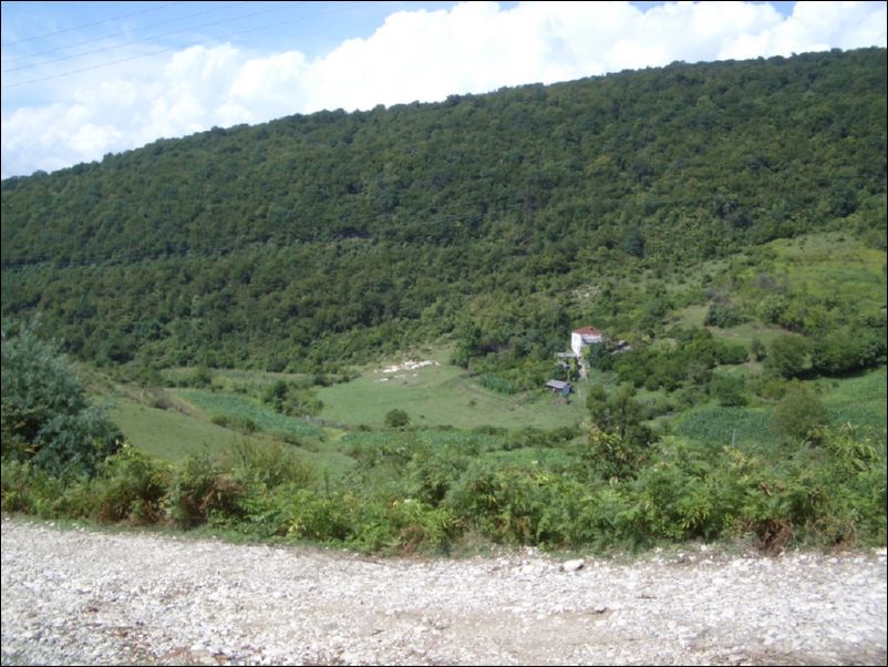 IMGP0161