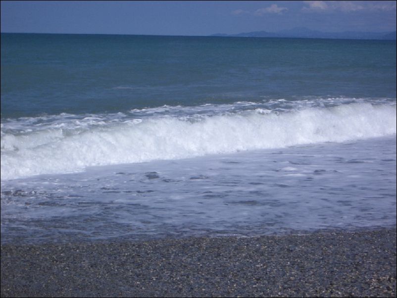 IMGP0185