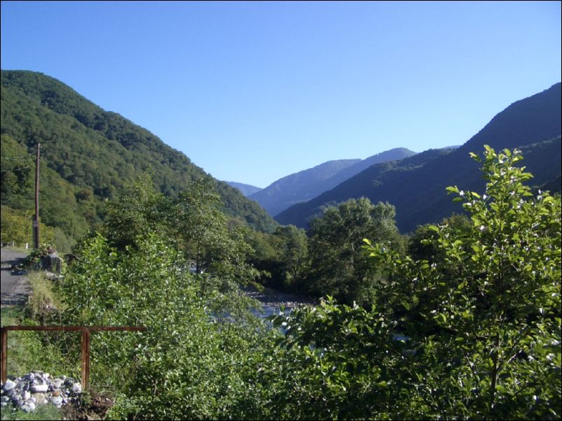 IMGP0197