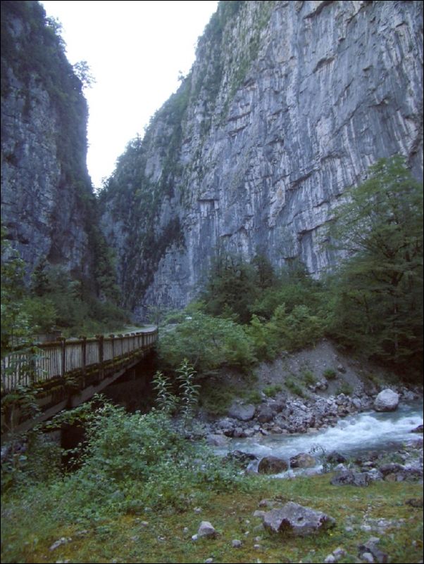 IMGP0204