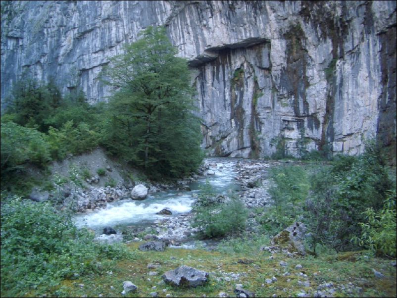 IMGP0208