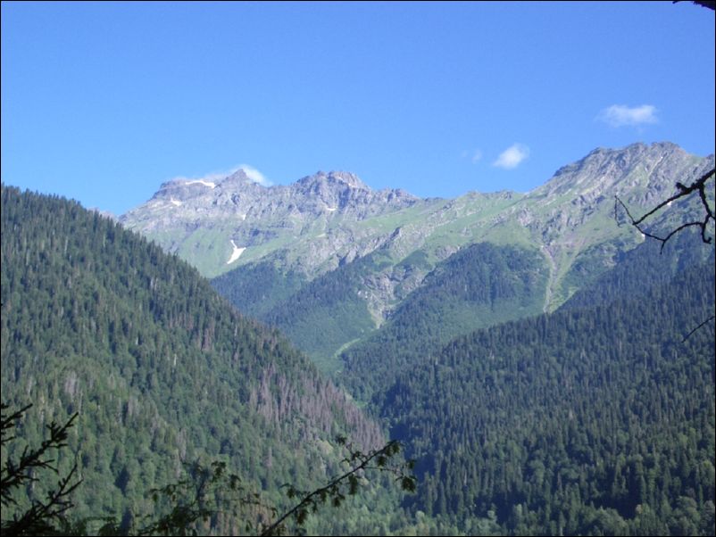 IMGP0219
