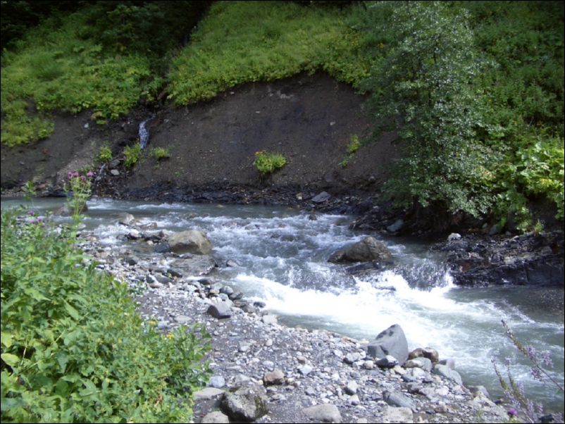 IMGP0229