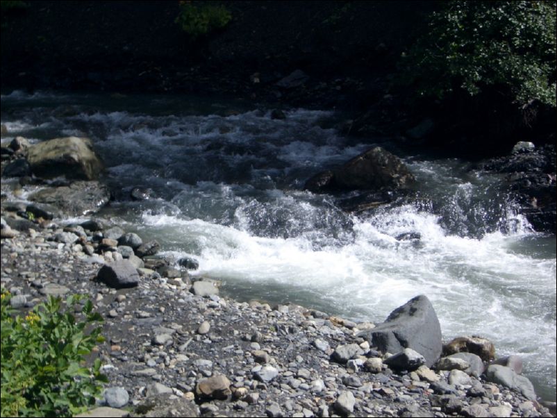 IMGP0230