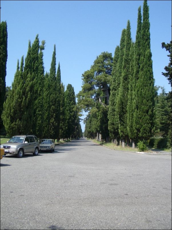 IMGP0273