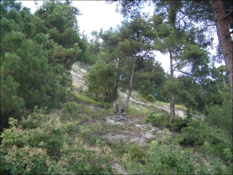 IMGP0278