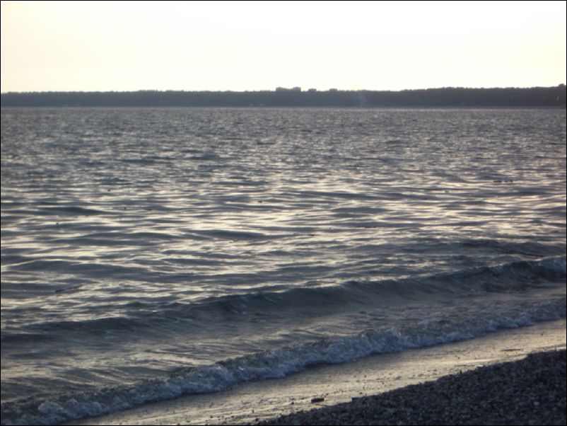 IMGP0281