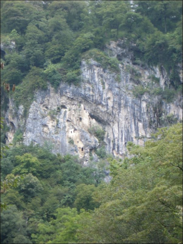 IMGP0341