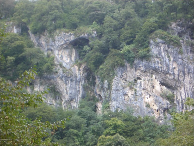 IMGP0342
