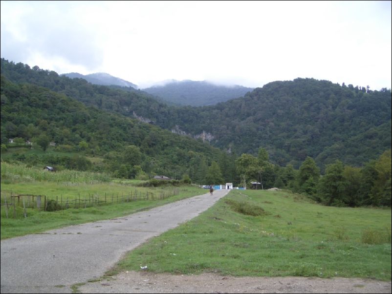 IMGP0354